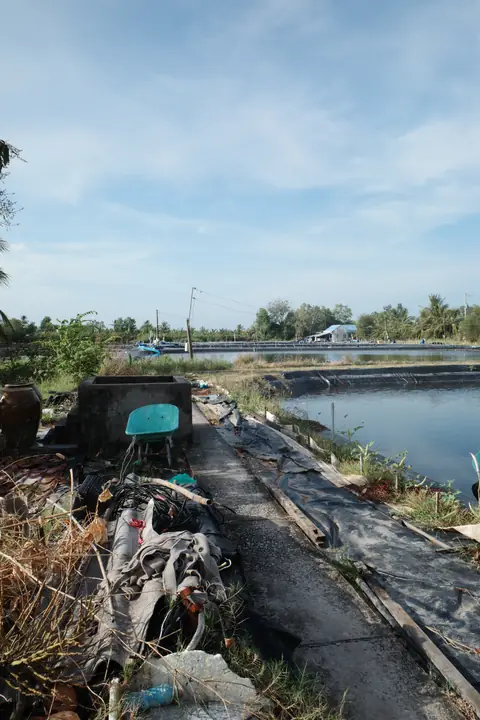KI003695.JPG