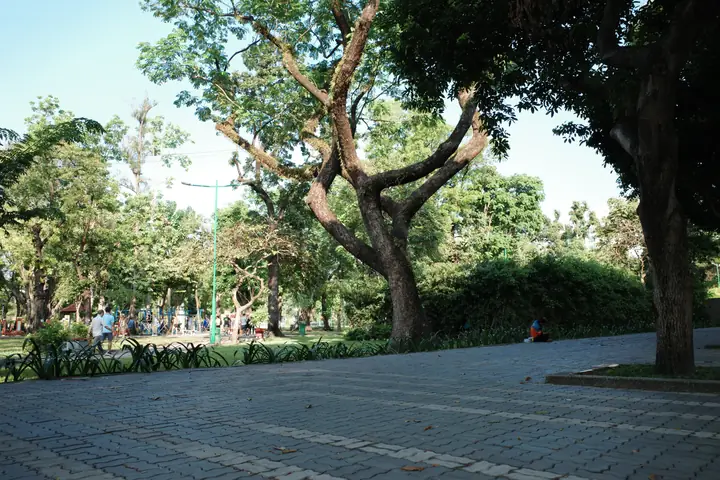 KI003844.JPG
