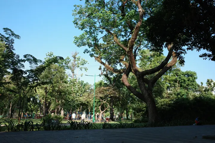 KI003845.JPG