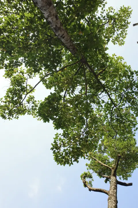 KI003970.jpg