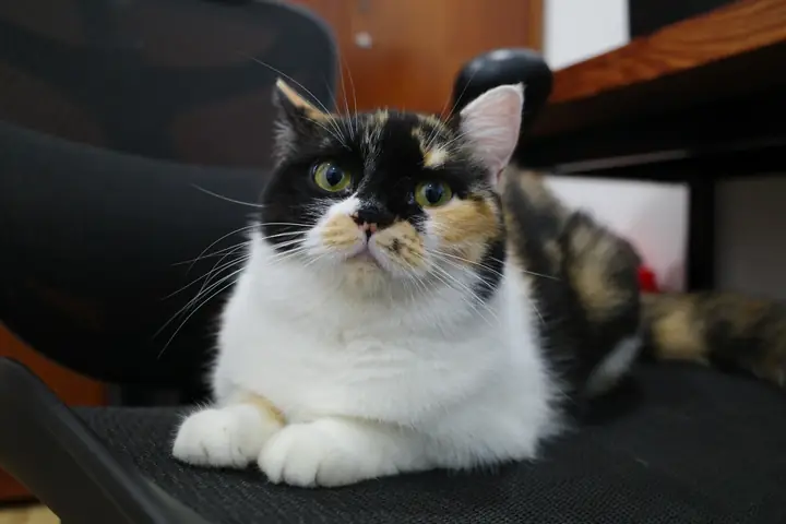 KI003991.JPG